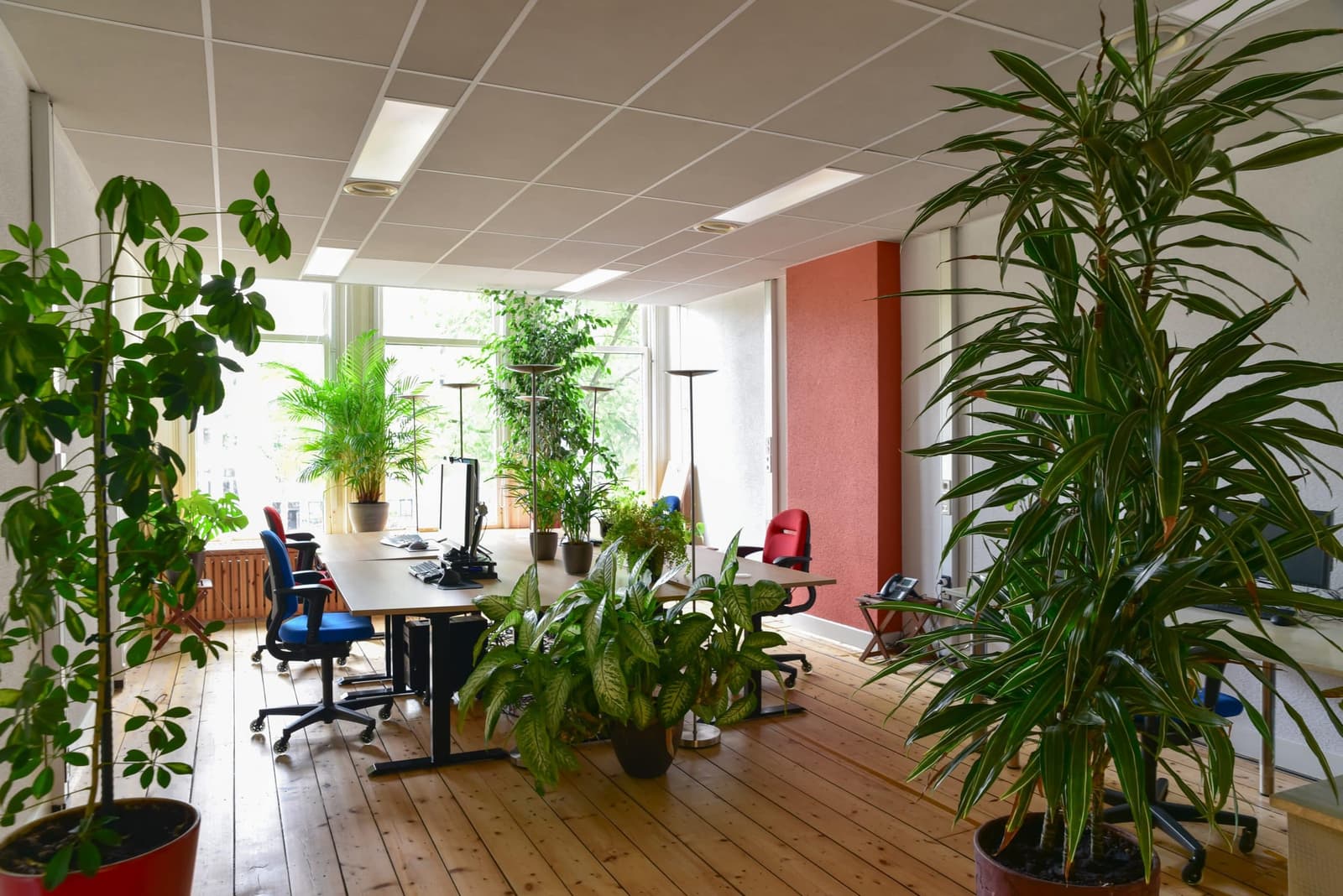 Kantoorruimte Singel 160 in Amsterdam-Centrum — foto 2